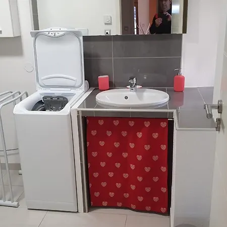 Du Ladhof 公寓 科尔马